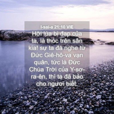Picture 04 - I-sai-a 21:10 VIE - Hỡi lúa bị đạp của ta, là thóc trên - Bible Verse Picture