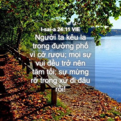 Picture 04 - I-sai-a 24:11 VIE - Người ta kêu la trong đường phố vì - Bible Verse Picture