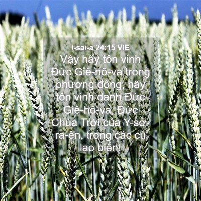 Picture 04 - I-sai-a 24:15 VIE - Vậy hãy tôn vinh Đức Giê-hô-va trong - Bible Verse Picture