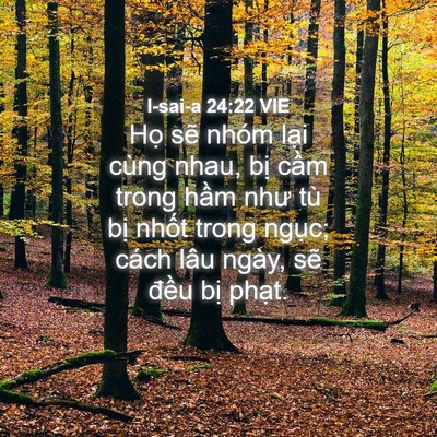 Picture 04 - I-sai-a 24:22 VIE - Họ sẽ nhóm lại cùng nhau, bị cầm - Bible Verse Picture