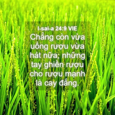 Picture 04 - I-sai-a 24:9 VIE - Chẳng còn vừa uống rượu vừa hát - Bible Verse Picture