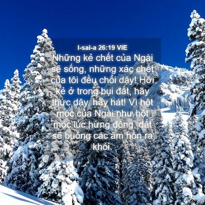 Picture 04 - I-sai-a 26:19 VIE - Những kẻ chết của Ngài sẽ sống, - Bible Verse Picture