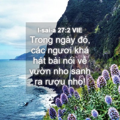 Picture 04 - I-sai-a 27:2 VIE - Trong ngày đó, các ngươi khá hát bài - Bible Verse Picture