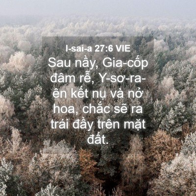 Picture 04 - I-sai-a 27:6 VIE - Sau nầy, Gia-cốp đâm rễ, Y-sơ-ra-ên - Bible Verse Picture