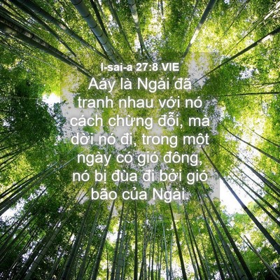 Picture 04 - I-sai-a 27:8 VIE - Aáy là Ngài đã tranh nhau với nó cách - Bible Verse Picture