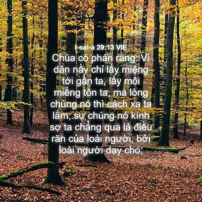 Picture 04 - I-sai-a 29:13 VIE - Chúa có phán rằng: Vì dân nầy chỉ - Bible Verse Picture