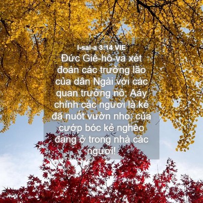 Picture 04 - I-sai-a 3:14 VIE - Đức Giê-hô-va xét đoán các trưởng - Bible Verse Picture