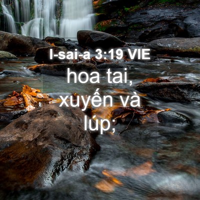 Picture 04 - I-sai-a 3:19 VIE - hoa tai, xuyến và - Bible Verse Picture