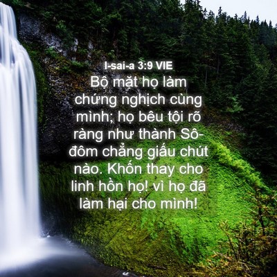Picture 04 - I-sai-a 3:9 VIE - Bộ mặt họ làm chứng nghịch cùng - Bible Verse Picture