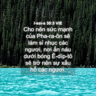 Picture 04 - I-sai-a 30:3 VIE - Cho nên sức mạnh của Pha-ra-ôn sẽ làm - Bible Verse Picture