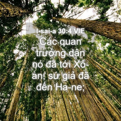 Picture 04 - I-sai-a 30:4 VIE - Các quan trưởng dân nó đã tới Xô-an, - Bible Verse Picture