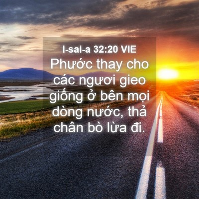 Picture 04 - I-sai-a 32:20 VIE - Phước thay cho các ngươi gieo giống ở - Bible Verse Picture