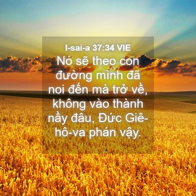 Picture 04 - I-sai-a 37:34 VIE - Nó sẽ theo con đường mình đã noi đến - Bible Verse Picture