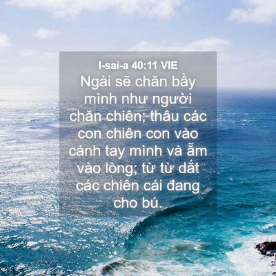 Picture 04 - I-sai-a 40:11 VIE - Ngài sẽ chăn bầy mình như người chăn - Bible Verse Picture