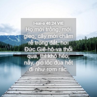 Picture 04 - I-sai-a 40:24 VIE - Họ mới trồng, mới gieo, cây mới châm - Bible Verse Picture