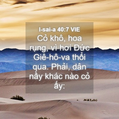 Picture 04 - I-sai-a 40:7 VIE - Cỏ khô, hoa rụng, vì hơi Đức - Bible Verse Picture