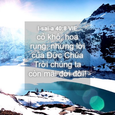 Picture 04 - I-sai-a 40:8 VIE - cỏ khô, hoa rụng; nhưng lời của Đức - Bible Verse Picture