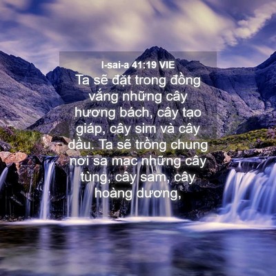 Picture 04 - I-sai-a 41:19 VIE - Ta sẽ đặt trong đồng vắng những cây - Bible Verse Picture