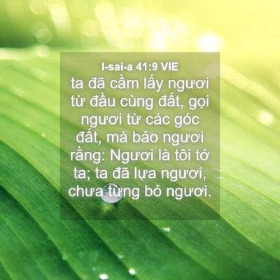 Picture 04 - I-sai-a 41:9 VIE - ta đã cầm lấy ngươi từ đầu cùng - Bible Verse Picture