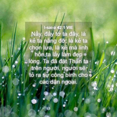 Picture 04 - I-sai-a 42:1 VIE - Nầy, đầy tớ ta đây, là kẻ ta nâng - Bible Verse Picture