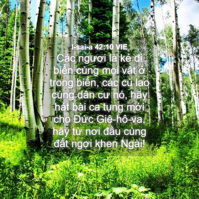 Picture 04 - I-sai-a 42:10 VIE - Các ngươi là kẻ đi biển cùng mọi - Bible Verse Picture