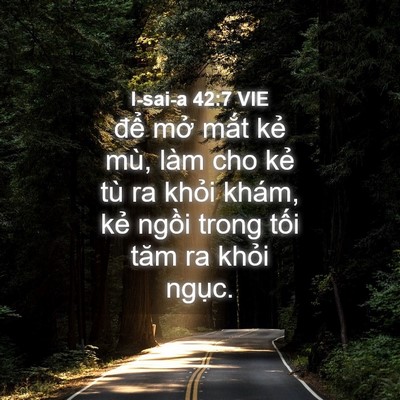 Picture 04 - I-sai-a 42:7 VIE - để mở mắt kẻ mù, làm cho kẻ tù ra - Bible Verse Picture