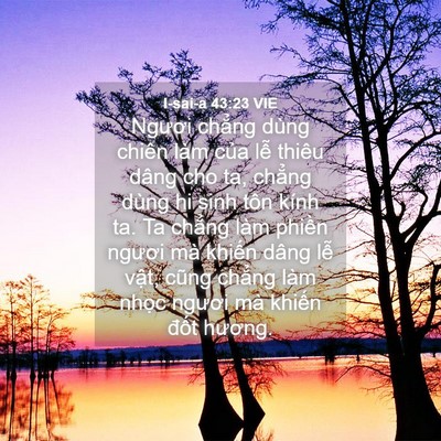 Picture 04 - I-sai-a 43:23 VIE - Ngươi chẳng dùng chiên làm của lễ - Bible Verse Picture