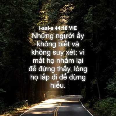 Picture 04 - I-sai-a 44:18 VIE - Những người ấy không biết và không - Bible Verse Picture