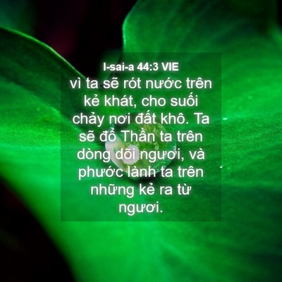 Picture 04 - I-sai-a 44:3 VIE - vì ta sẽ rót nước trên kẻ khát, cho - Bible Verse Picture