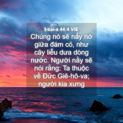 Picture 04 - I-sai-a 44:4 VIE - Chúng nó sẽ nẩy nở giữa đám cỏ, - Bible Verse Picture