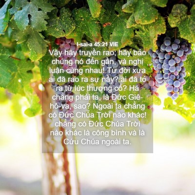 Picture 04 - I-sai-a 45:21 VIE - Vậy hãy truyền rao; hãy bảo chúng nó - Bible Verse Picture