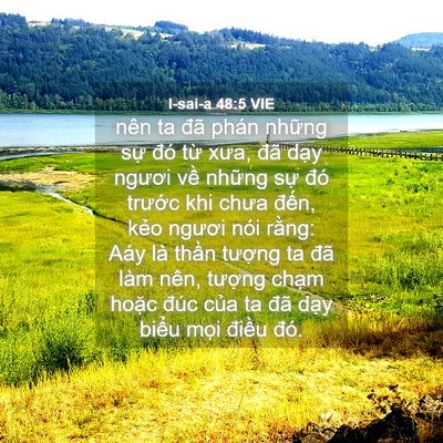 Picture 04 - I-sai-a 48:5 VIE - nên ta đã phán những sự đó từ xưa, - Bible Verse Picture
