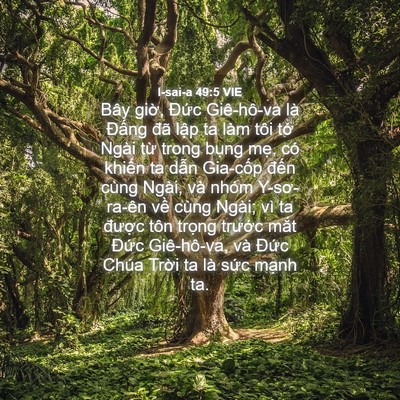 Picture 04 - I-sai-a 49:5 VIE - Bây giờ, Đức Giê-hô-va là Đấng đã - Bible Verse Picture