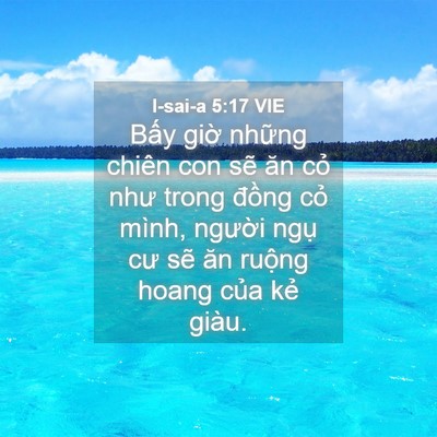 Picture 04 - I-sai-a 5:17 VIE - Bấy giờ những chiên con sẽ ăn cỏ như - Bible Verse Picture