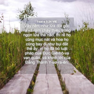 Picture 04 - I-sai-a 5:24 VIE - Vậy nên, như lửa đốt gốc rạ và rơm - Bible Verse Picture