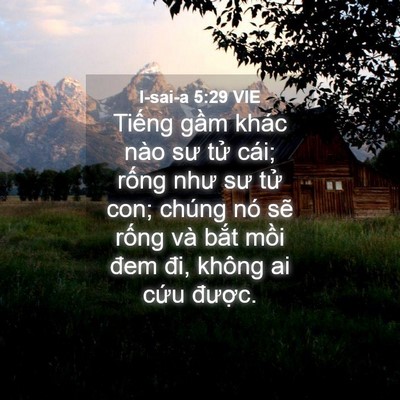 Picture 04 - I-sai-a 5:29 VIE - Tiếng gầm khác nào sư tử cái; rống - Bible Verse Picture
