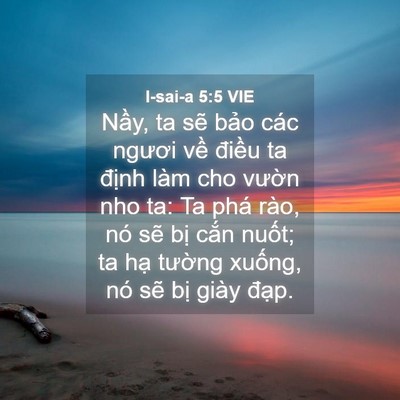 Picture 04 - I-sai-a 5:5 VIE - Nầy, ta sẽ bảo các ngươi về điều ta - Bible Verse Picture