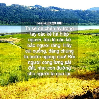Picture 04 - I-sai-a 51:23 VIE - Ta sẽ để chén ấy trong tay các kẻ hà - Bible Verse Picture