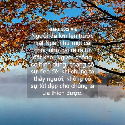 Picture 04 - I-sai-a 53:2 VIE - Người đã lớn lên trước mặt Ngài - Bible Verse Picture