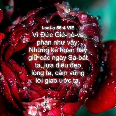 Picture 04 - I-sai-a 56:4 VIE - Vì Đức Giê-hô-va phán như vầy: Những - Bible Verse Picture