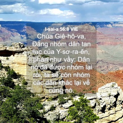 Picture 04 - I-sai-a 56:8 VIE - Chúa Giê-hô-va, Đấng nhóm dân tan lạc - Bible Verse Picture