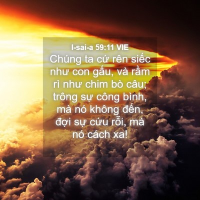 Picture 04 - I-sai-a 59:11 VIE - Chúng ta cứ rên siếc như con gấu, và - Bible Verse Picture