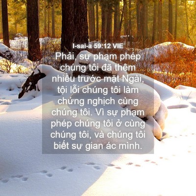 Picture 04 - I-sai-a 59:12 VIE - Phải, sự phạm phép chúng tôi đã thêm - Bible Verse Picture