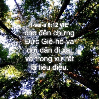 Picture 04 - I-sai-a 6:12 VIE - cho đến chừng Đức Giê-hô-va dời dân - Bible Verse Picture