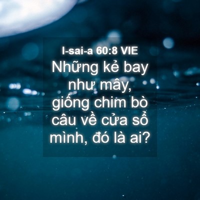 Picture 04 - I-sai-a 60:8 VIE - Những kẻ bay như mây, giống chim bò câu - Bible Verse Picture