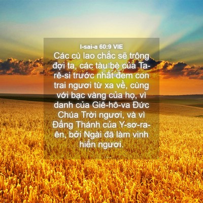Picture 04 - I-sai-a 60:9 VIE - Các cù lao chắc sẽ trông đợi ta, các - Bible Verse Picture