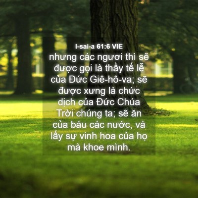 Picture 04 - I-sai-a 61:6 VIE - nhưng các ngươi thì sẽ được gọi là - Bible Verse Picture