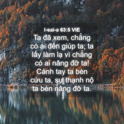 Picture 04 - I-sai-a 63:5 VIE - Ta đã xem, chẳng có ai đến giúp ta; ta - Bible Verse Picture