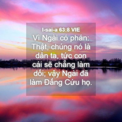 Picture 04 - I-sai-a 63:8 VIE - Vì Ngài có phán: Thật, chúng nó là dân - Bible Verse Picture