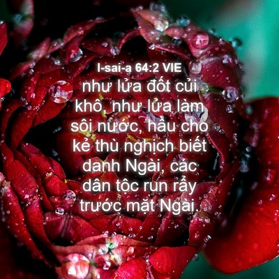 Picture 04 - I-sai-a 64:2 VIE - như lửa đốt củi khô, như lửa làm - Bible Verse Picture